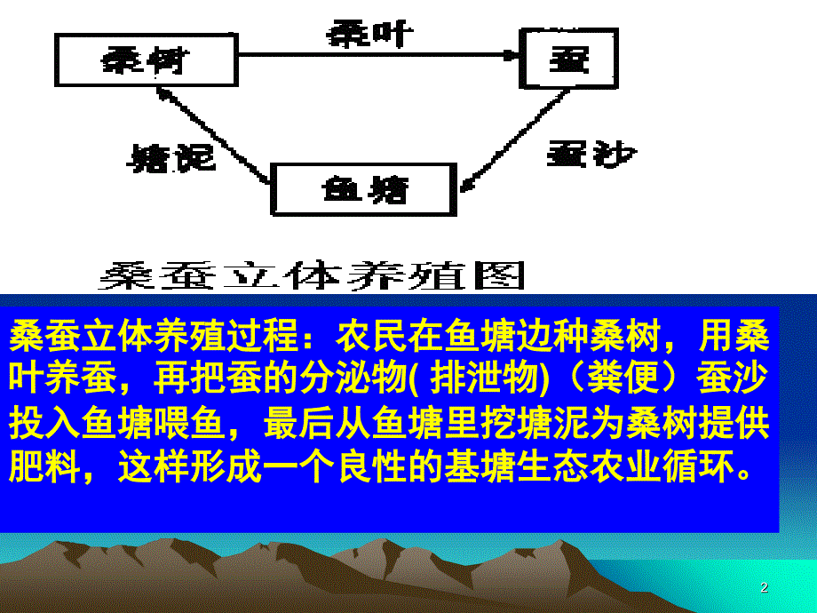 高考语文专项练习框架图表文字转换PPT课件_第2页