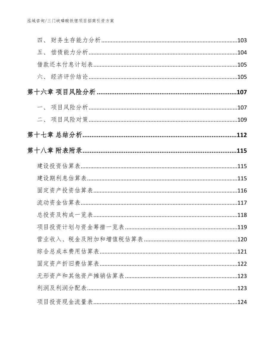 三门峡磷酸铁锂项目招商引资方案_第5页