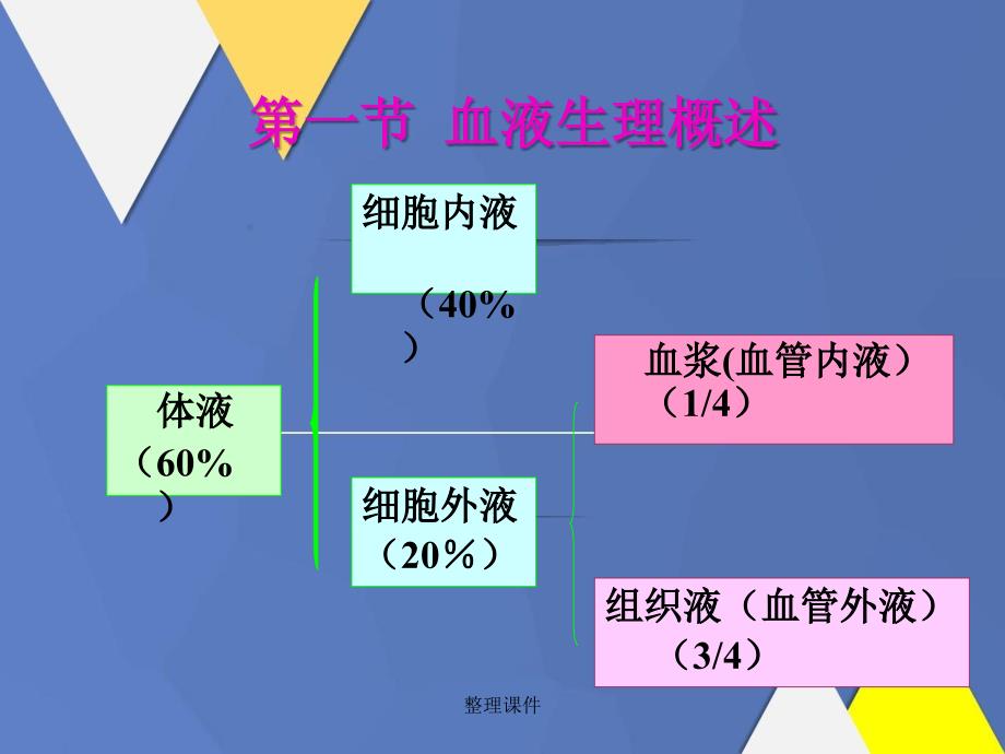 医学有机化学教学血液5学时第八版_第2页