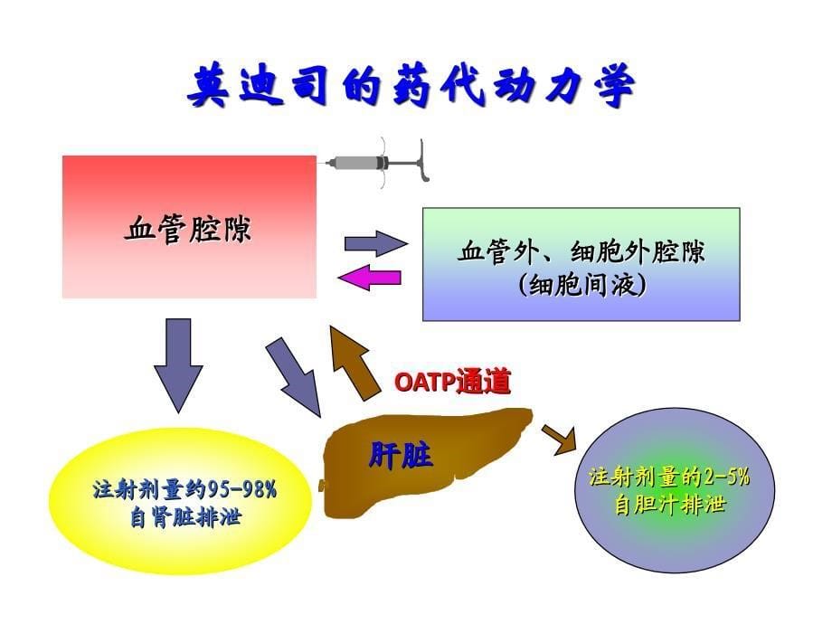 GdBOPTA在肝脏的临床应用价值课件_第5页