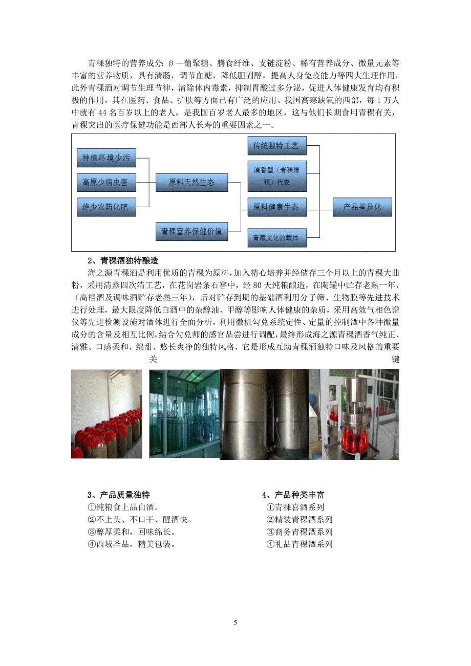 海之源青稞酒营销策划方案.doc_第5页