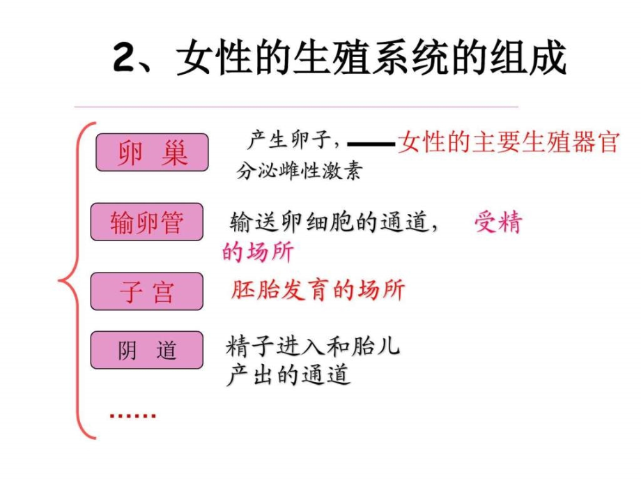 七年级下册总复习_第2页