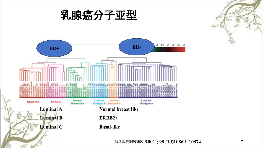 阴性乳腺癌新辅助治疗课件_第2页