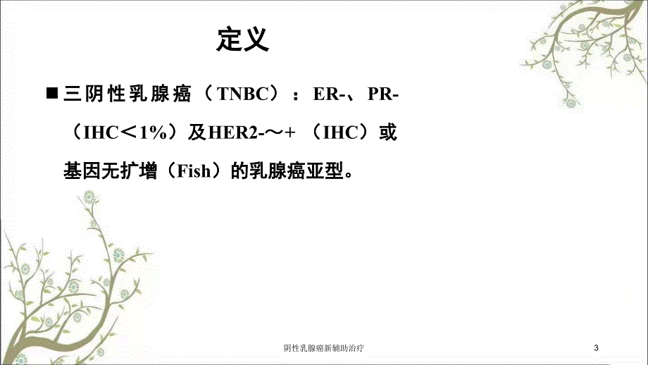 阴性乳腺癌新辅助治疗课件_第3页