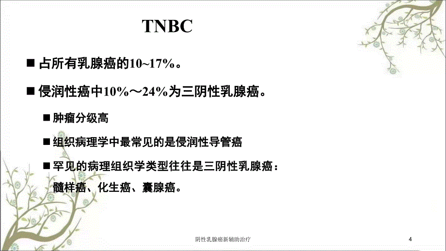 阴性乳腺癌新辅助治疗课件_第4页