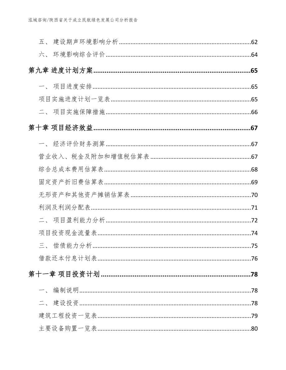 陕西省关于成立民航绿色发展公司分析报告_第5页