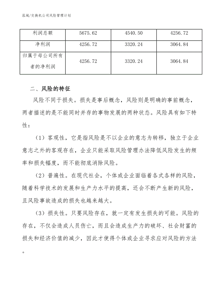 交换机公司风险管理计划（范文）_第4页