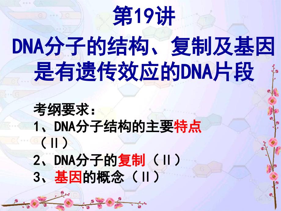 DNA分子的结构与复制汇报_第2页