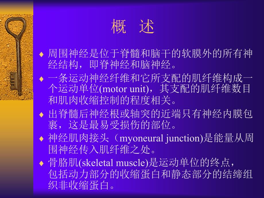 周围神经损伤的康复 北大医院物理康复科_第2页