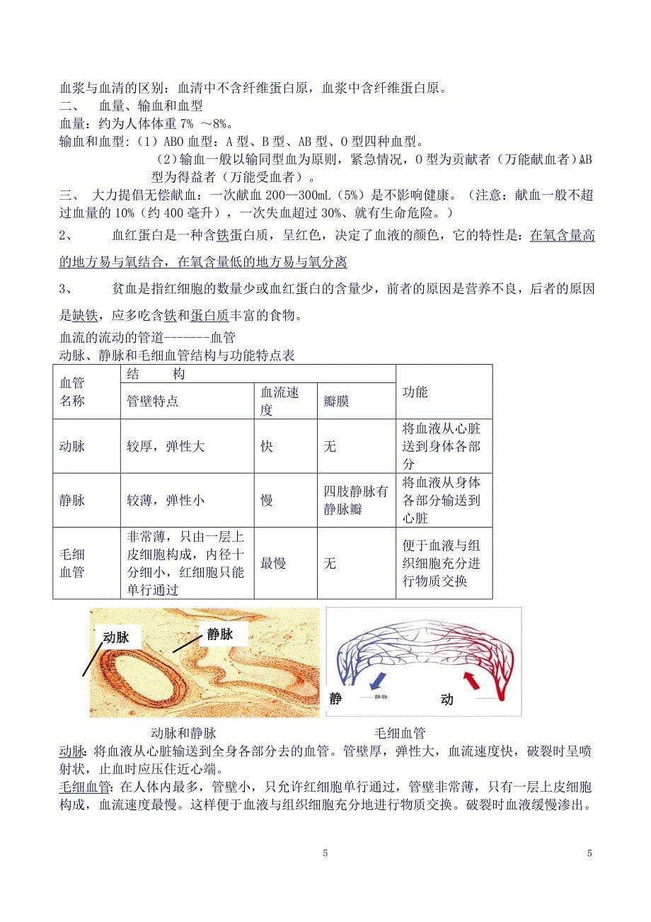 北师大版生物七年级下册知识点总结(良心出品必属精品).doc_第5页