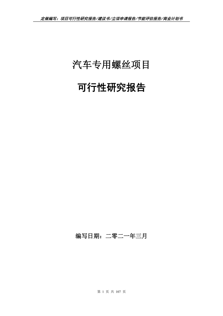 汽车专用螺丝项目可行性研究报告写作范本_第1页