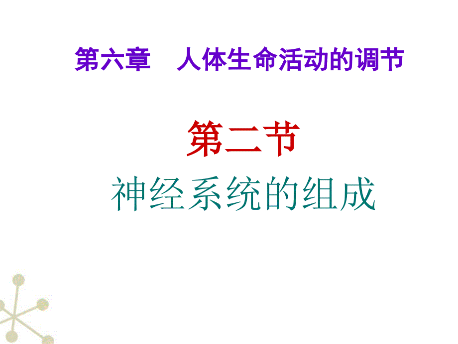 新人教版七下《神经系统的组成》_第2页