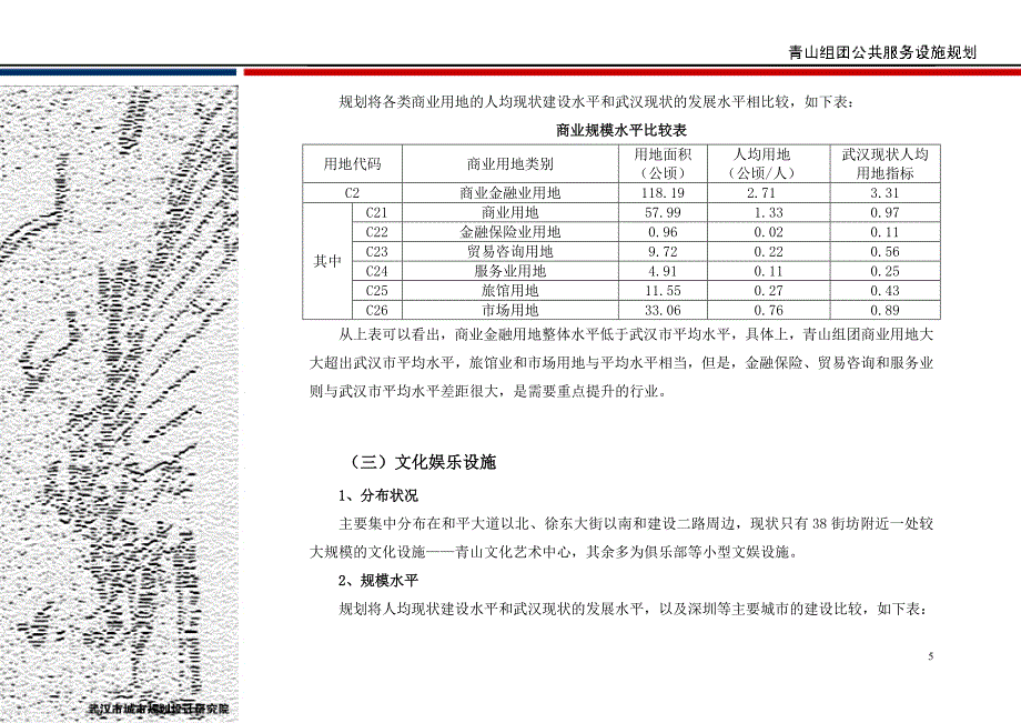 公共服务业用地规划_第5页