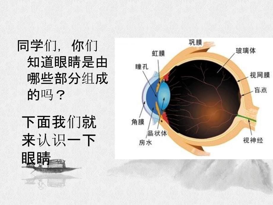 小学生健康教育保护视力从我做起_第5页