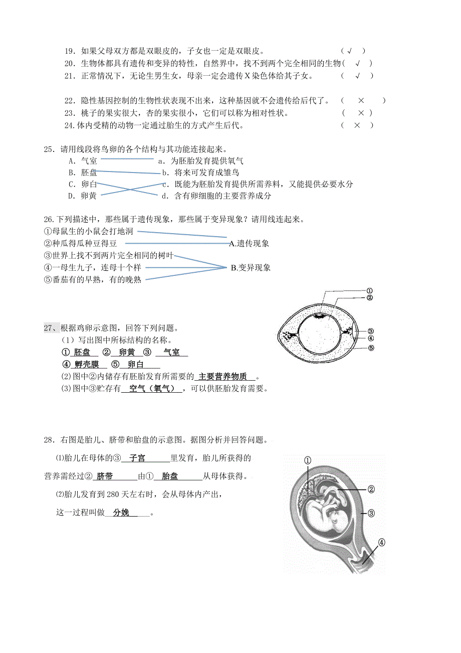 主题7生物的生殖发育与遗传测试1(教育精_第4页