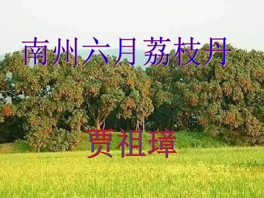 南州六月荔枝丹ppt1_第2页