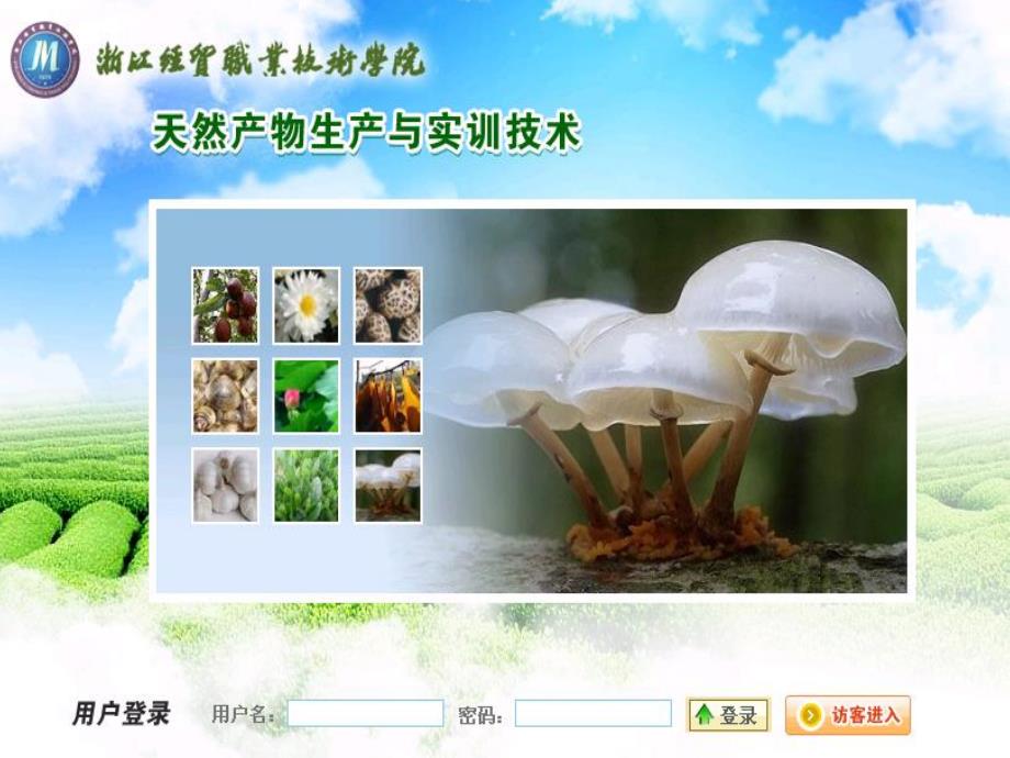 《牛磺酸制备工艺》PPT课件_第1页