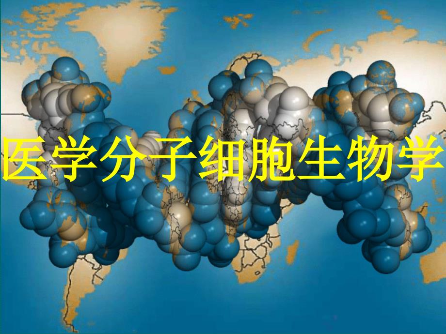 细胞周期及其调控(讲义)_第1页