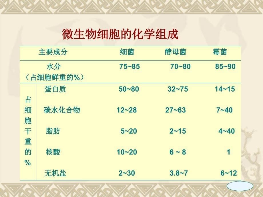 微生物学 营养_第5页