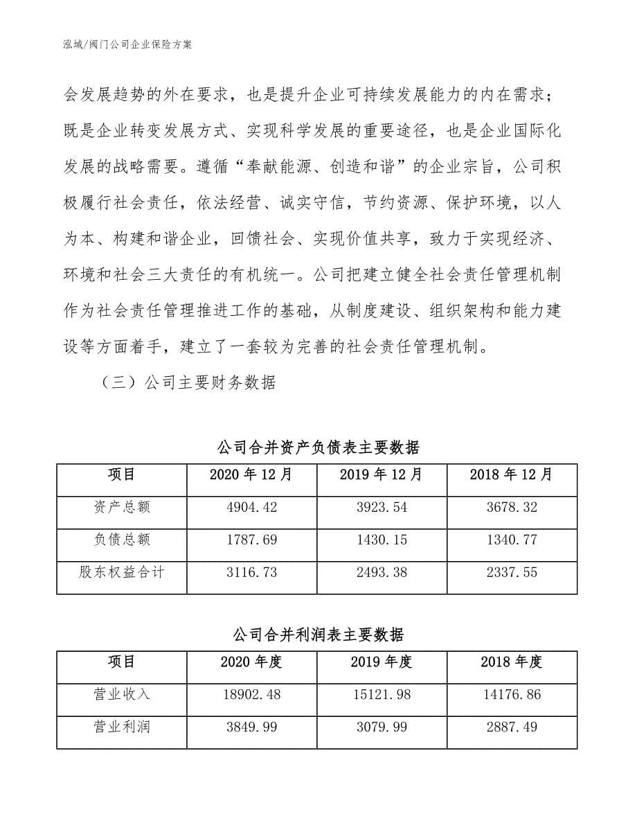 阀门公司企业保险方案_第5页