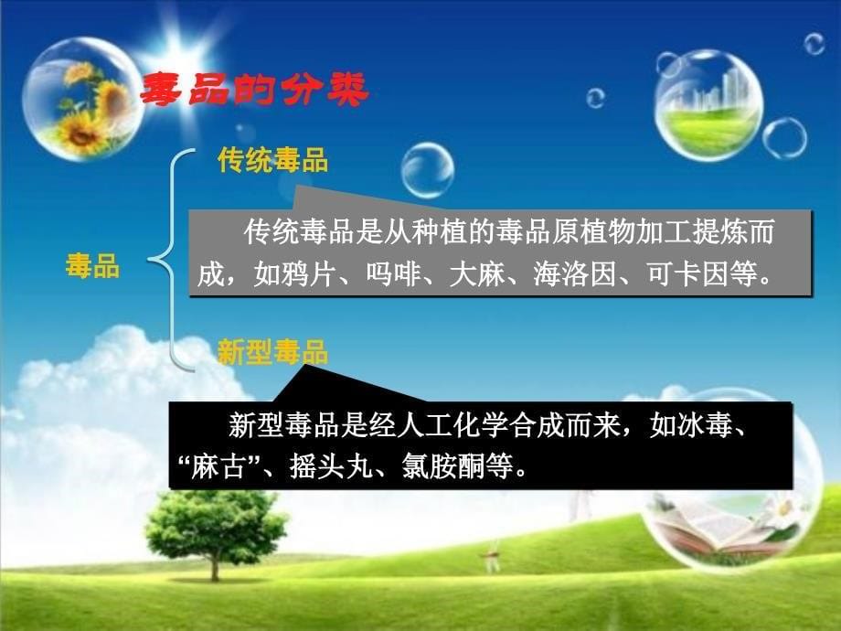 禁毒教育宣传课件经典实用_第5页