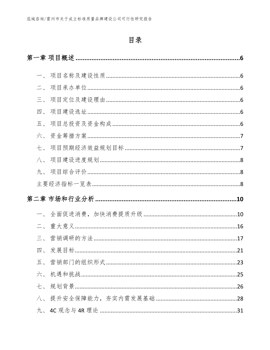 雷州市关于成立标准质量品牌建设公司可行性研究报告_模板参考_第1页