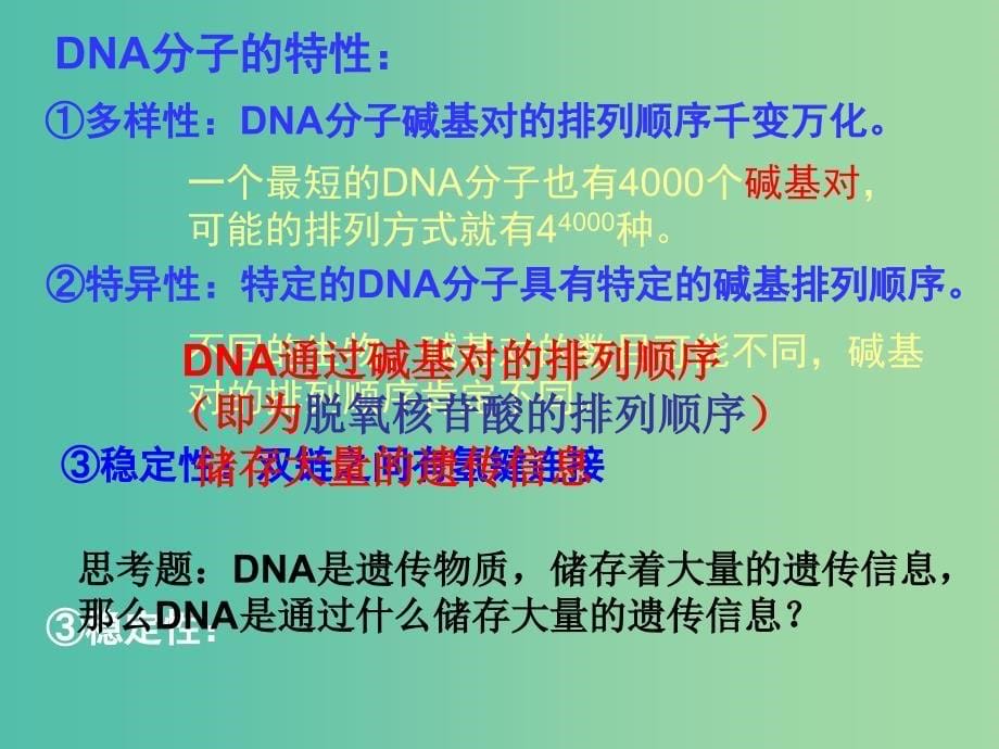 高中生物 3.2 DNA分子的结构课件 新人教版必修2.ppt_第5页