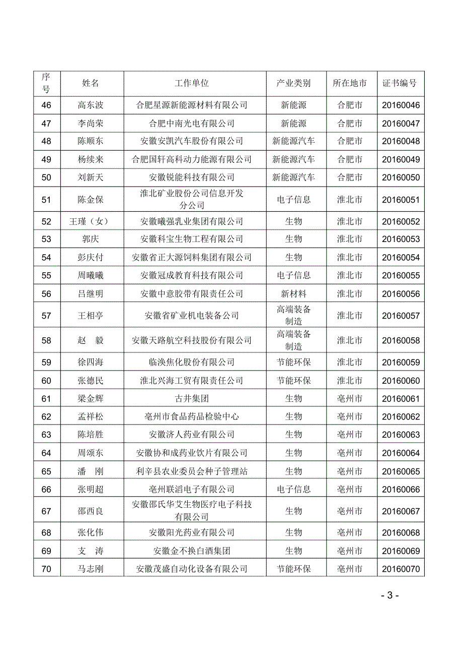 安徽省第五批战略性新兴产业_第4页