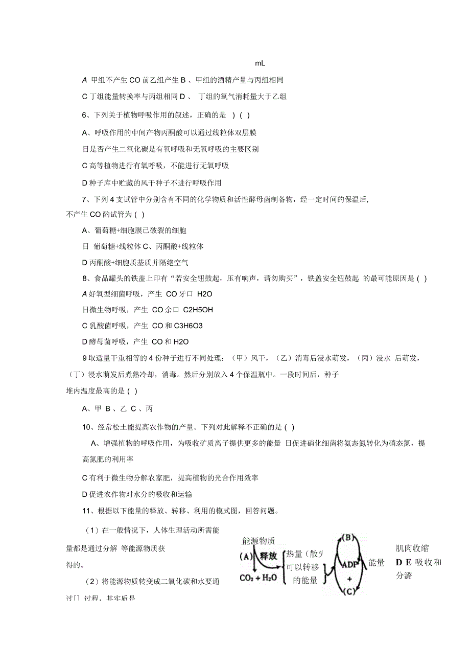 《第二节呼吸作用吸收氧气释放二氧化碳》同步练习1_第3页