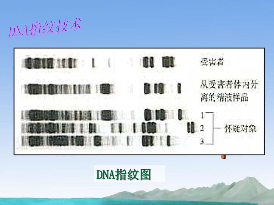 山东省济宁市学而优教育咨询有限公司高中生物《2.3 遗传信息的携带者--核酸》课件 新人教版必修1_第1页