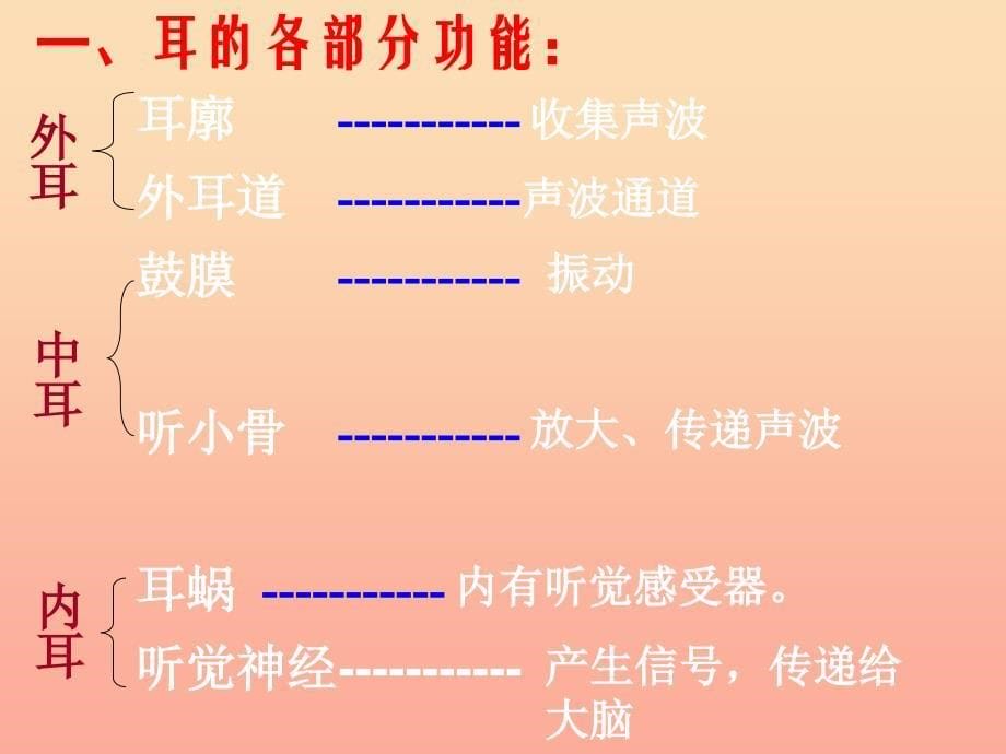 2022年四年级科学上册 3.6 我们是怎样听到声音的课件2 教科版_第5页