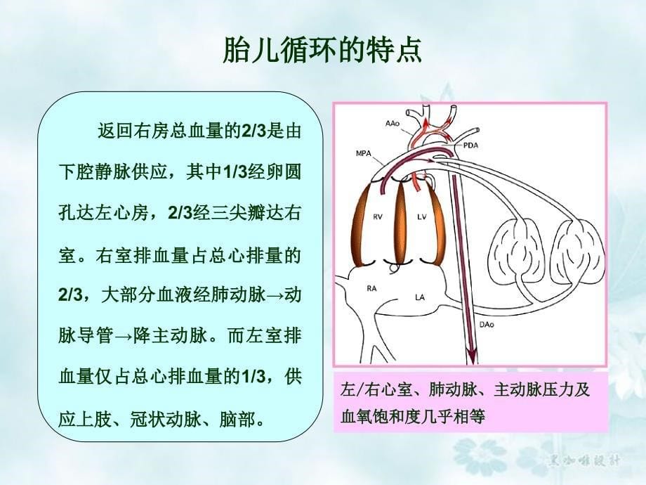 新生儿严重先天性心脏病诊疗思路剖析_第5页