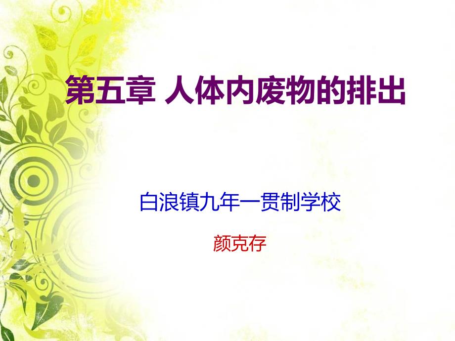 《尿的形成和排出》PPT课件.ppt_第1页