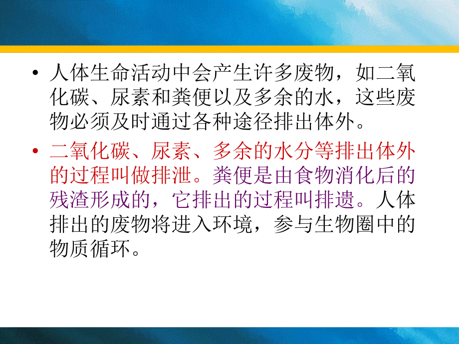 《尿的形成和排出》PPT课件.ppt_第2页