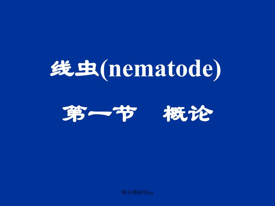 蛔虫鞭蛲钩yy课件_第1页