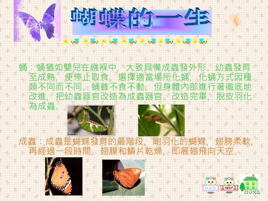 学校东华三院罗裕积小学_第5页