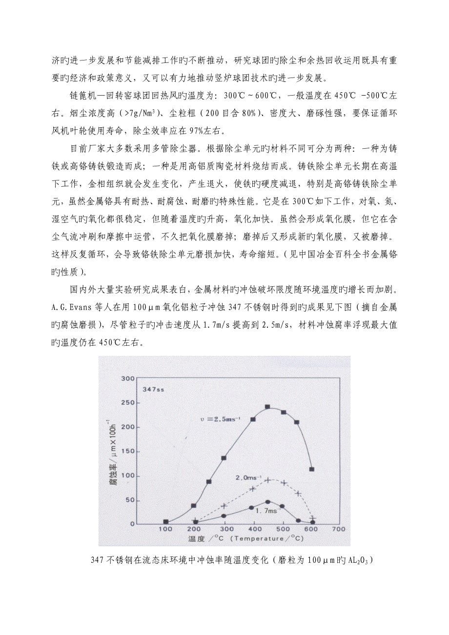 自主创新项目可行性报告(参考)_第5页