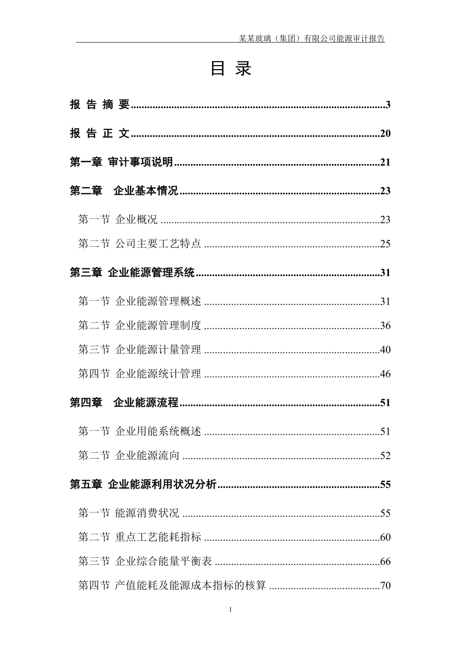 璃玻(集团)有限公司能源审计报告.doc_第1页