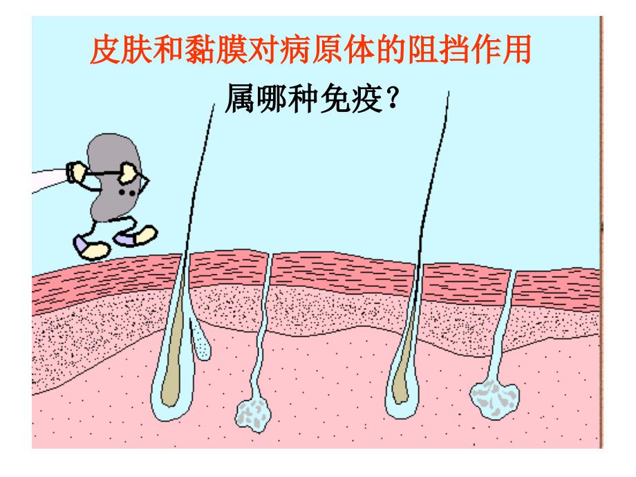 免疫调节公开课一等奖pt课件_第4页