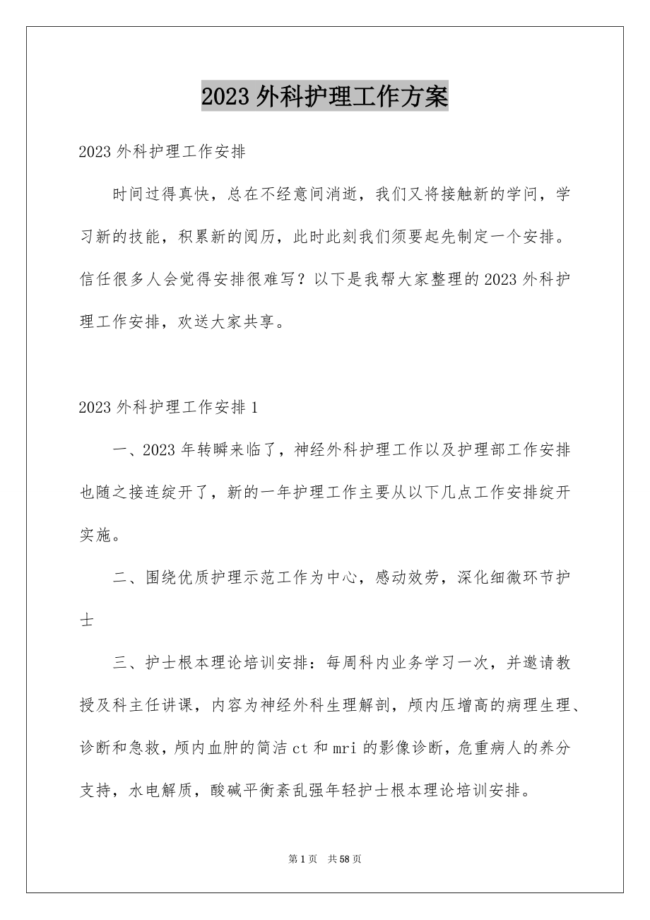 2023年外科护理工作计划22.docx