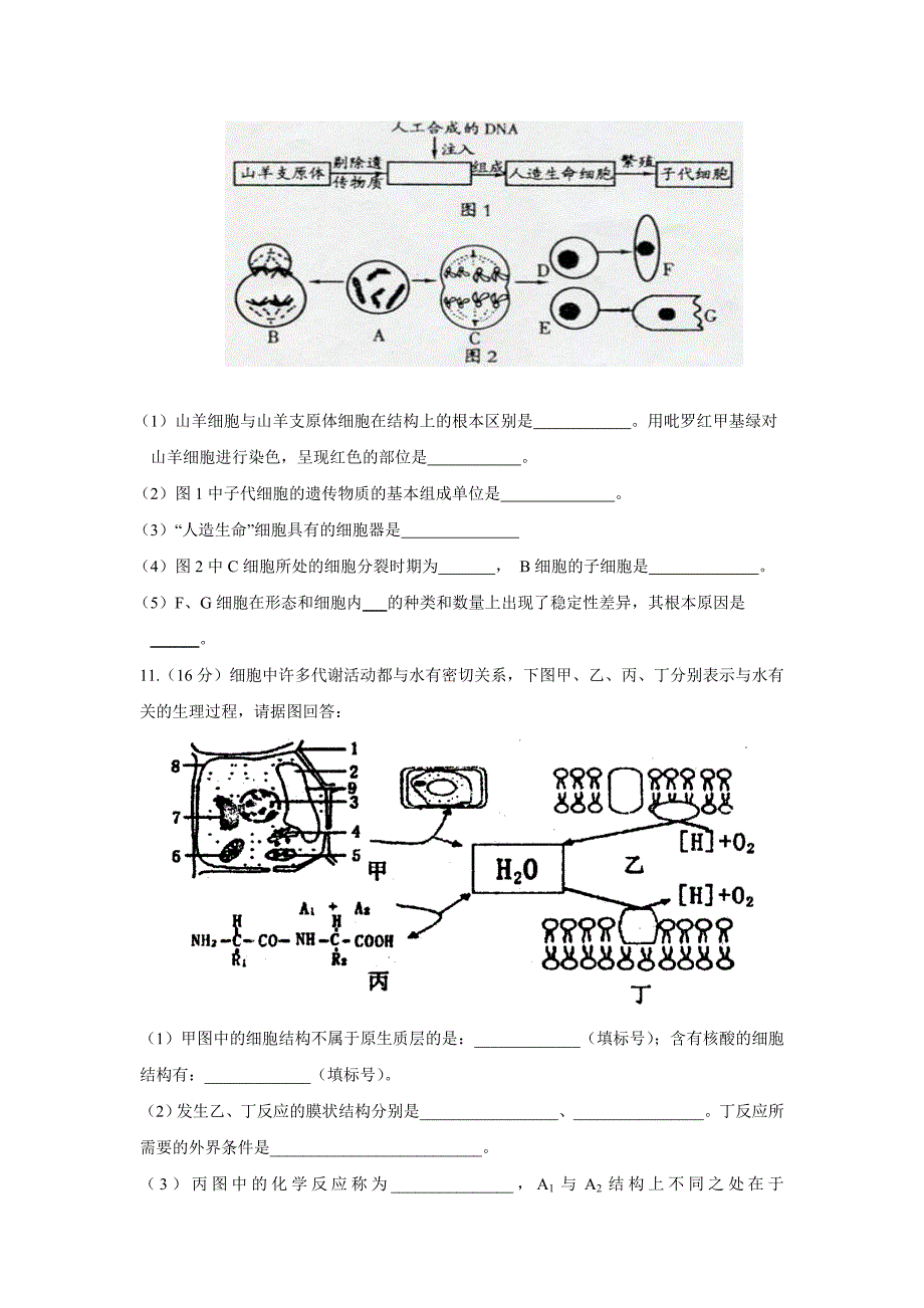 2013届四会中学高三生物周练11.doc_第3页