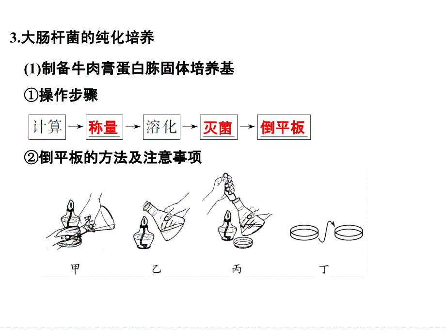 一轮复习--微生物的培养与应用_第4页