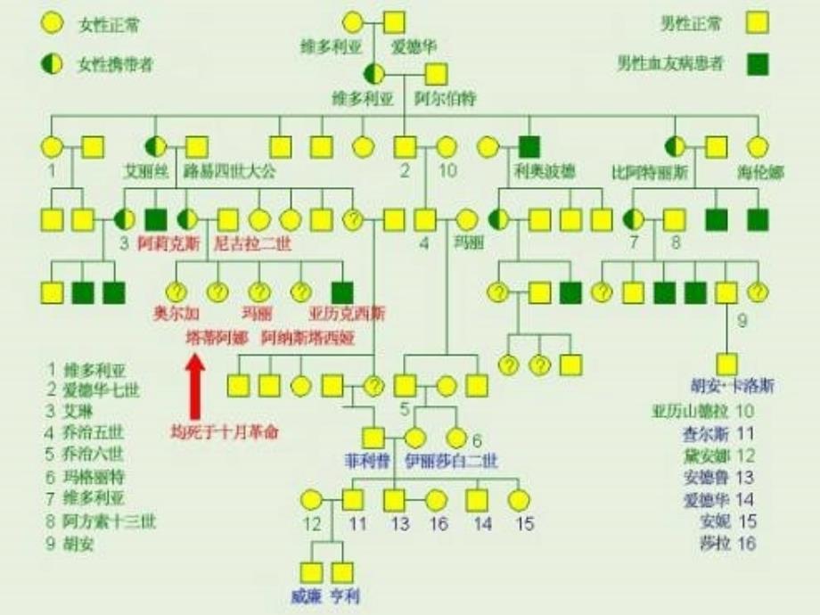 学习第七章血栓与止血检测ppt课件_第3页