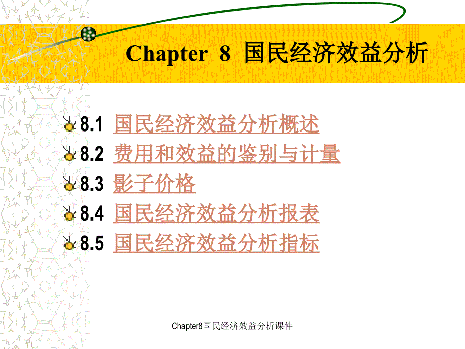 Chapter8国民经济效益分析课件_第1页