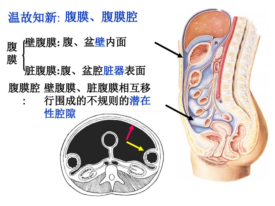 刘睿结上区9152_第4页