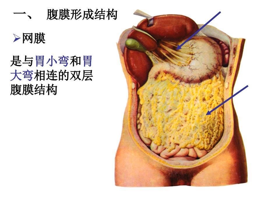 刘睿结上区9152_第5页