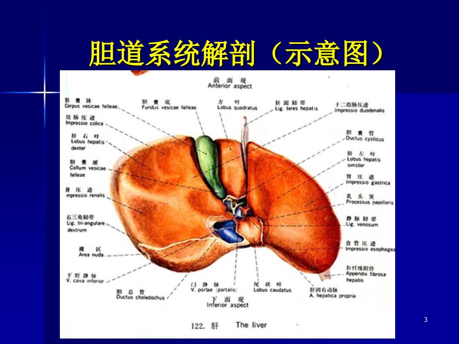 胆系疾病影像诊断ppt课件_第3页