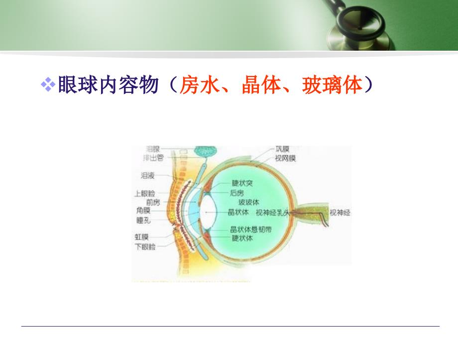 青光眼病人护理医学PPT课件_第4页