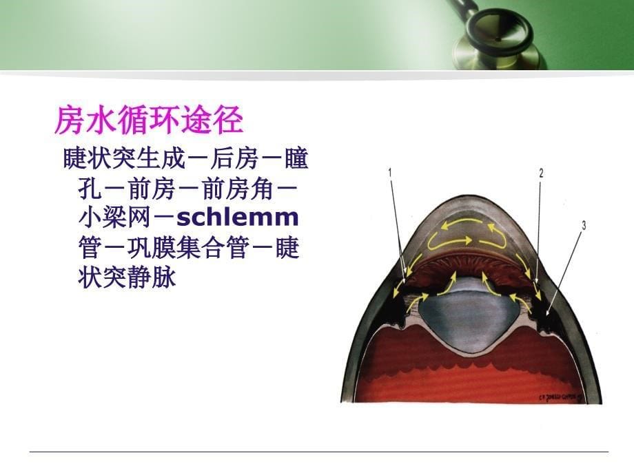 青光眼病人护理医学PPT课件_第5页