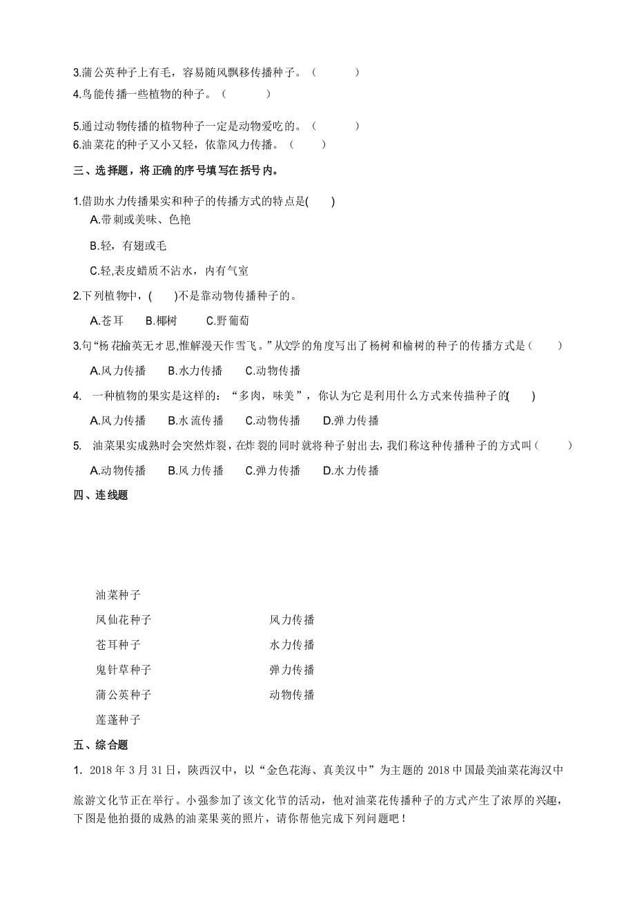 教科版四年级科学下册1.6《果实和种子》作业设计_第5页